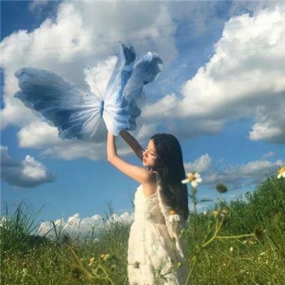 案中案